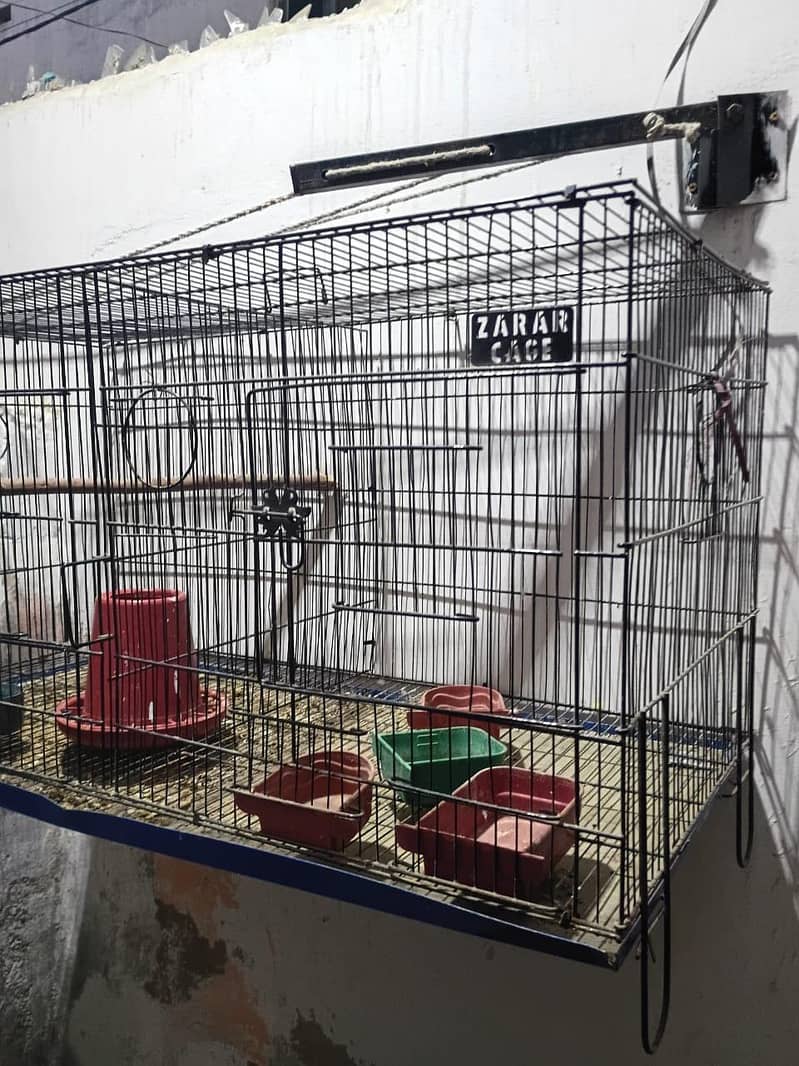folding cage 2