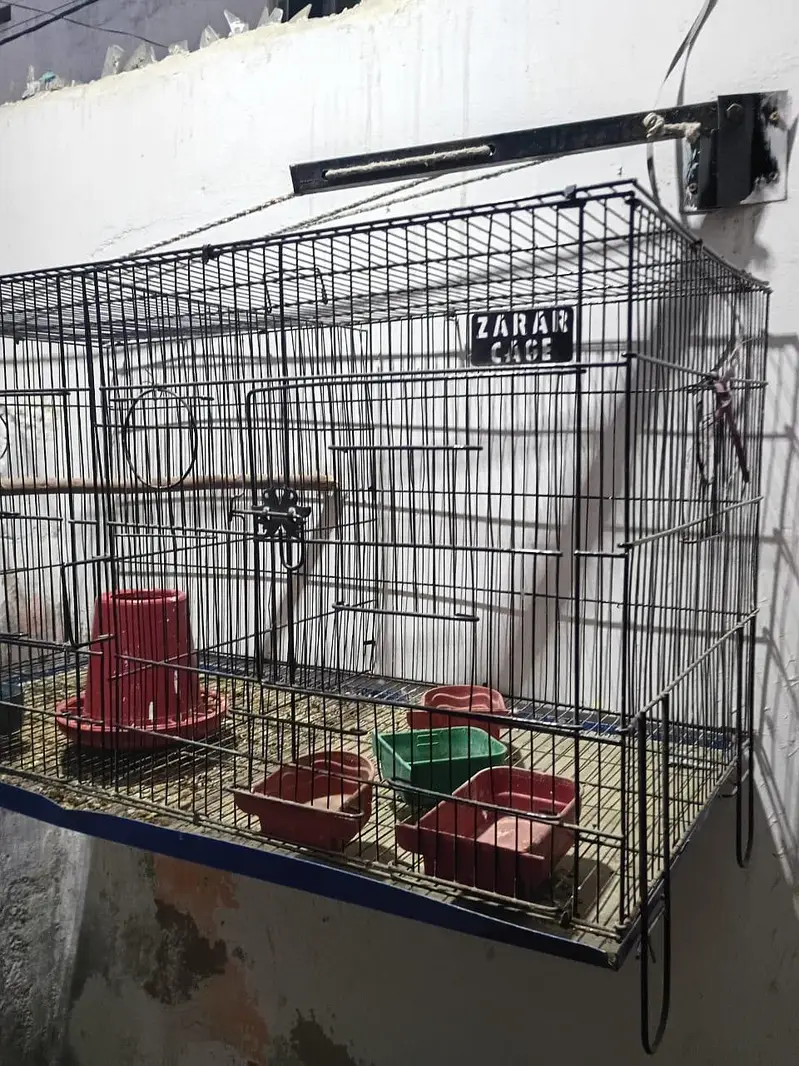 folding cage — photo 3