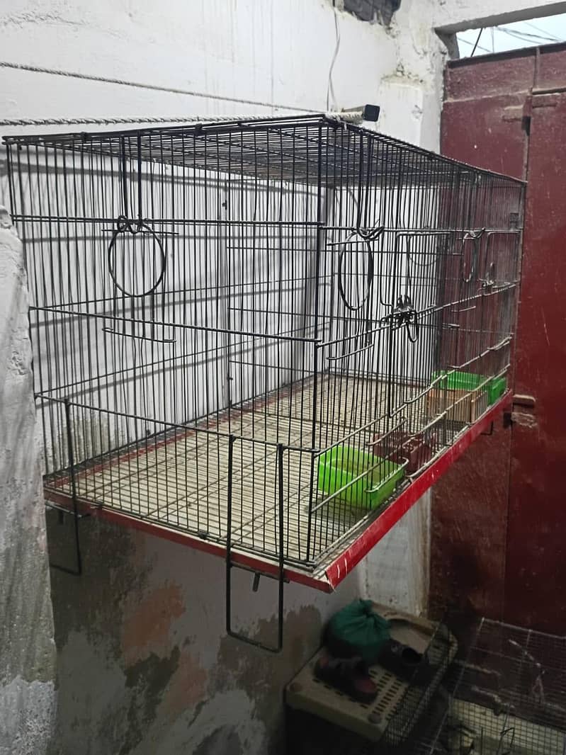 folding cage 3