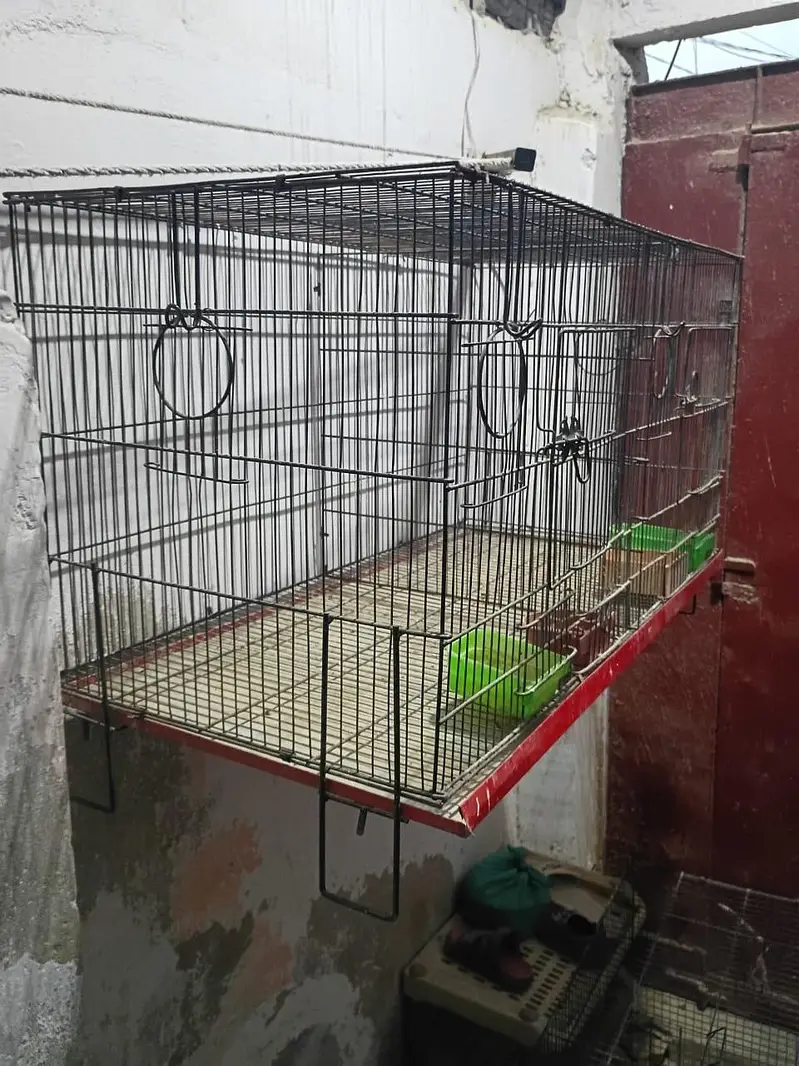 folding cage — photo 4
