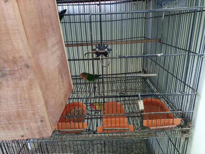 zarar cage 1