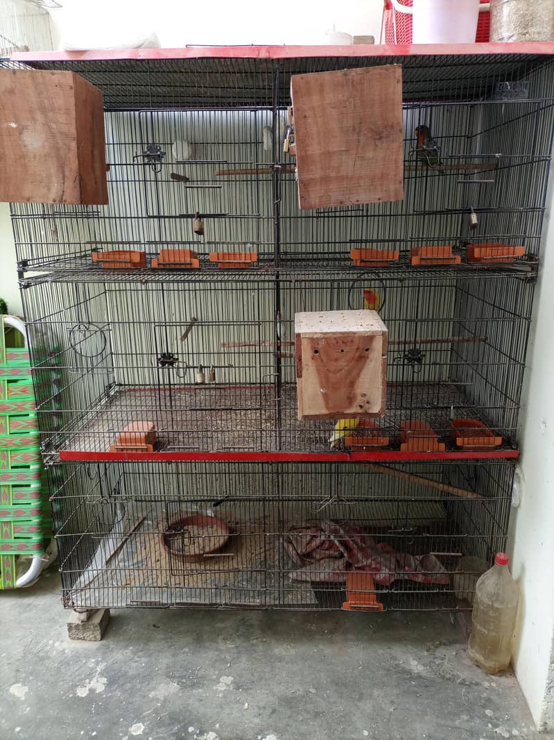 zarar cage 2