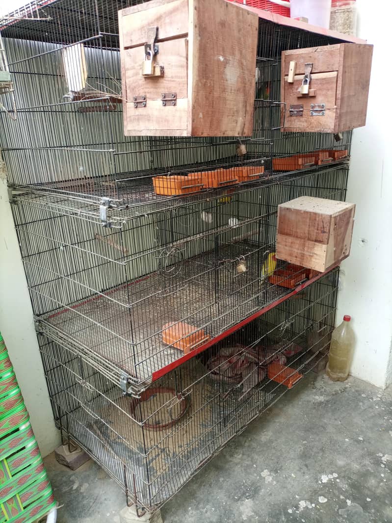 zarar cage 4