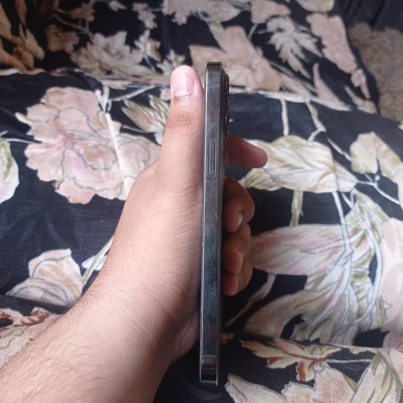 Apple iPhone 13 Pro Max 2