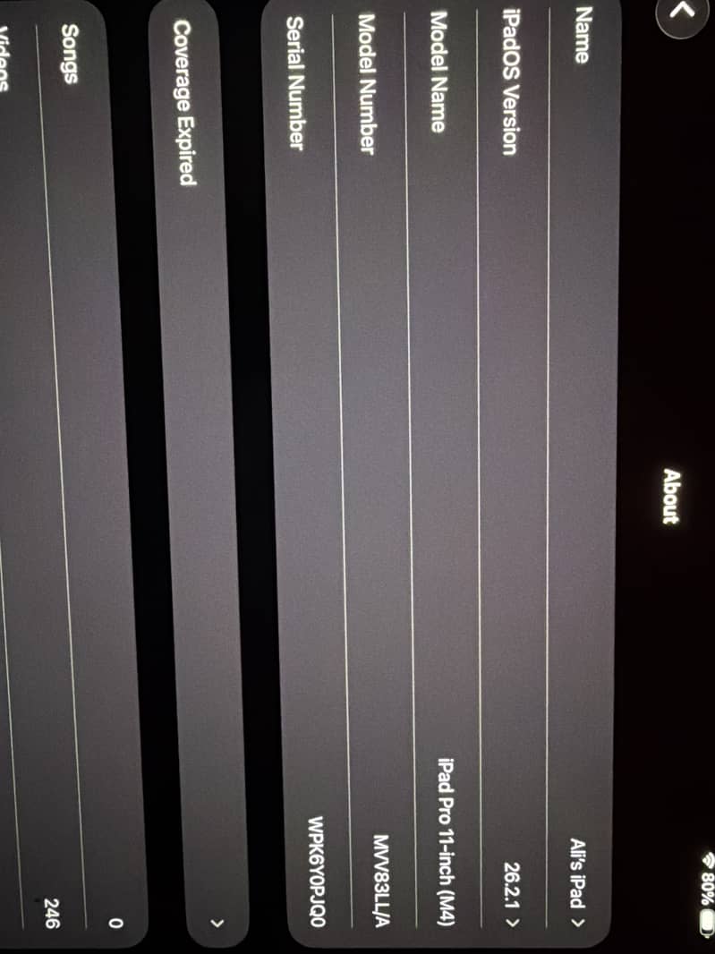 iPad pro m4 6