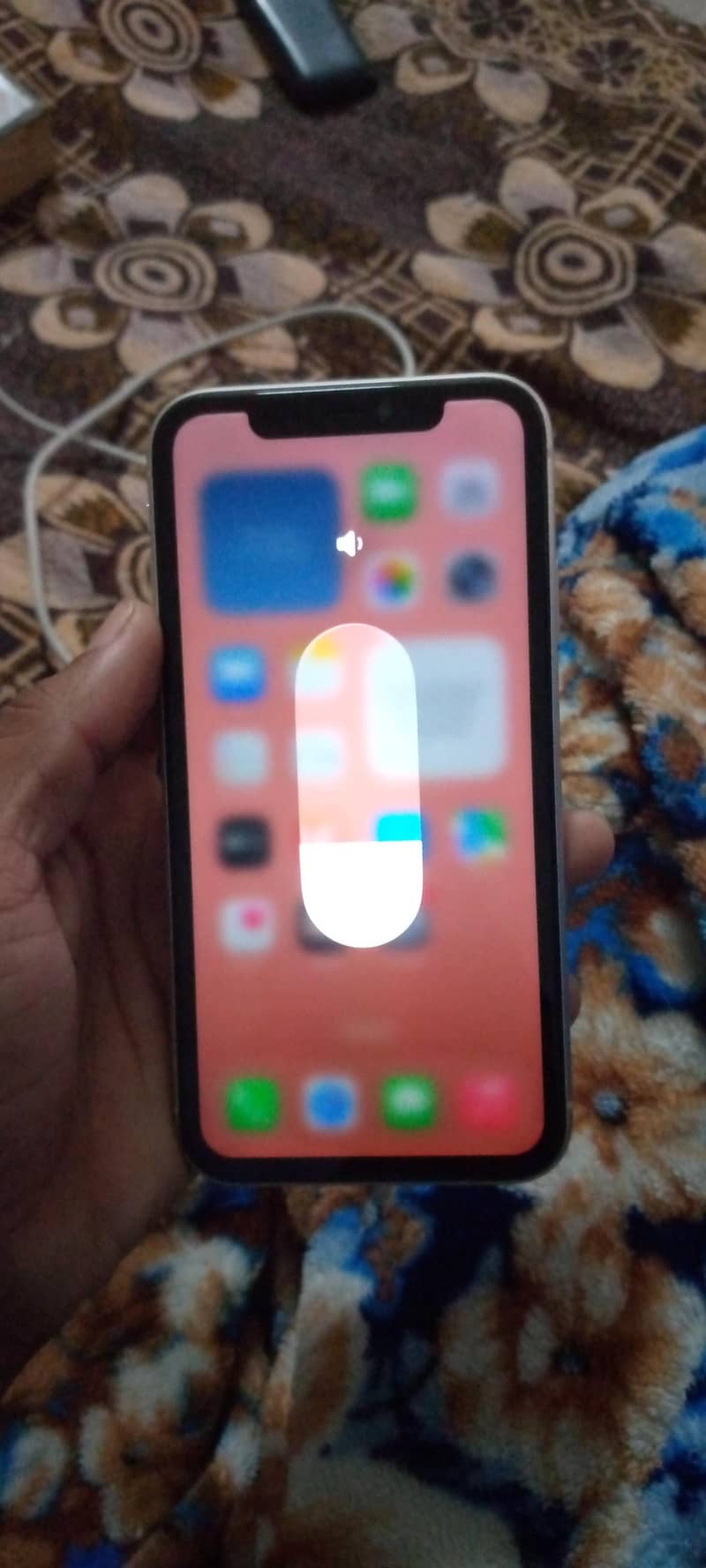 Apple iPhone 11 1