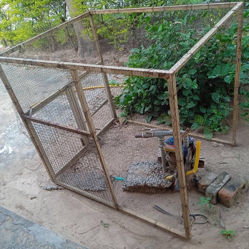 Two door cage 1