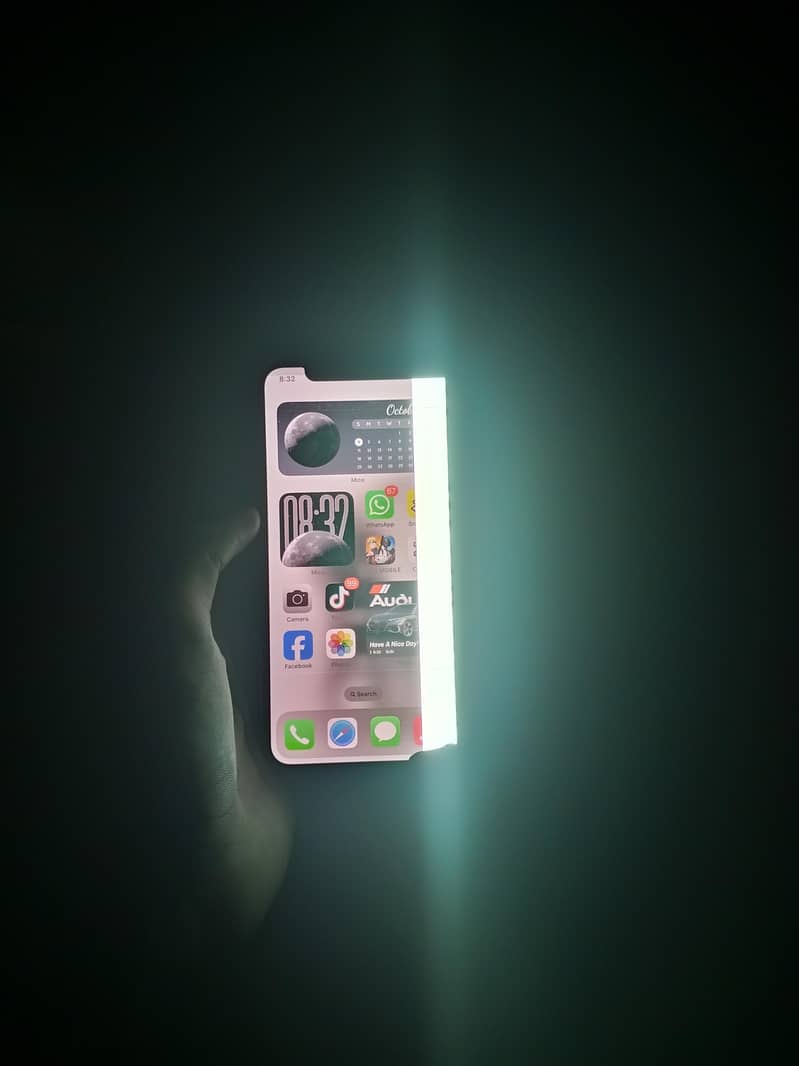 Apple iPhone X 5