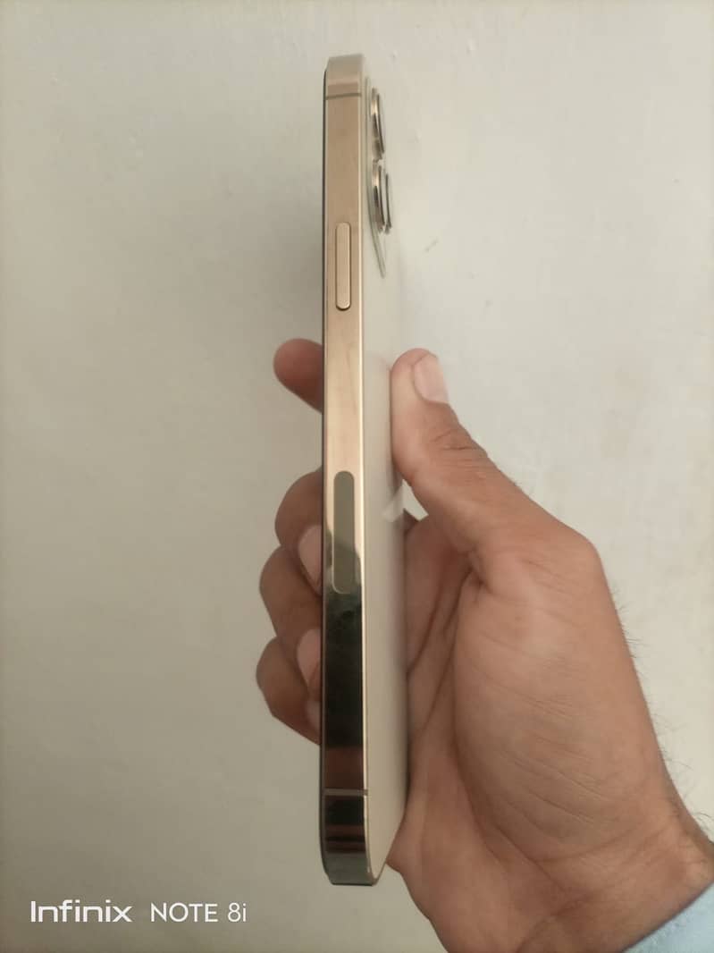Apple iPhone 12 Pro Max 2