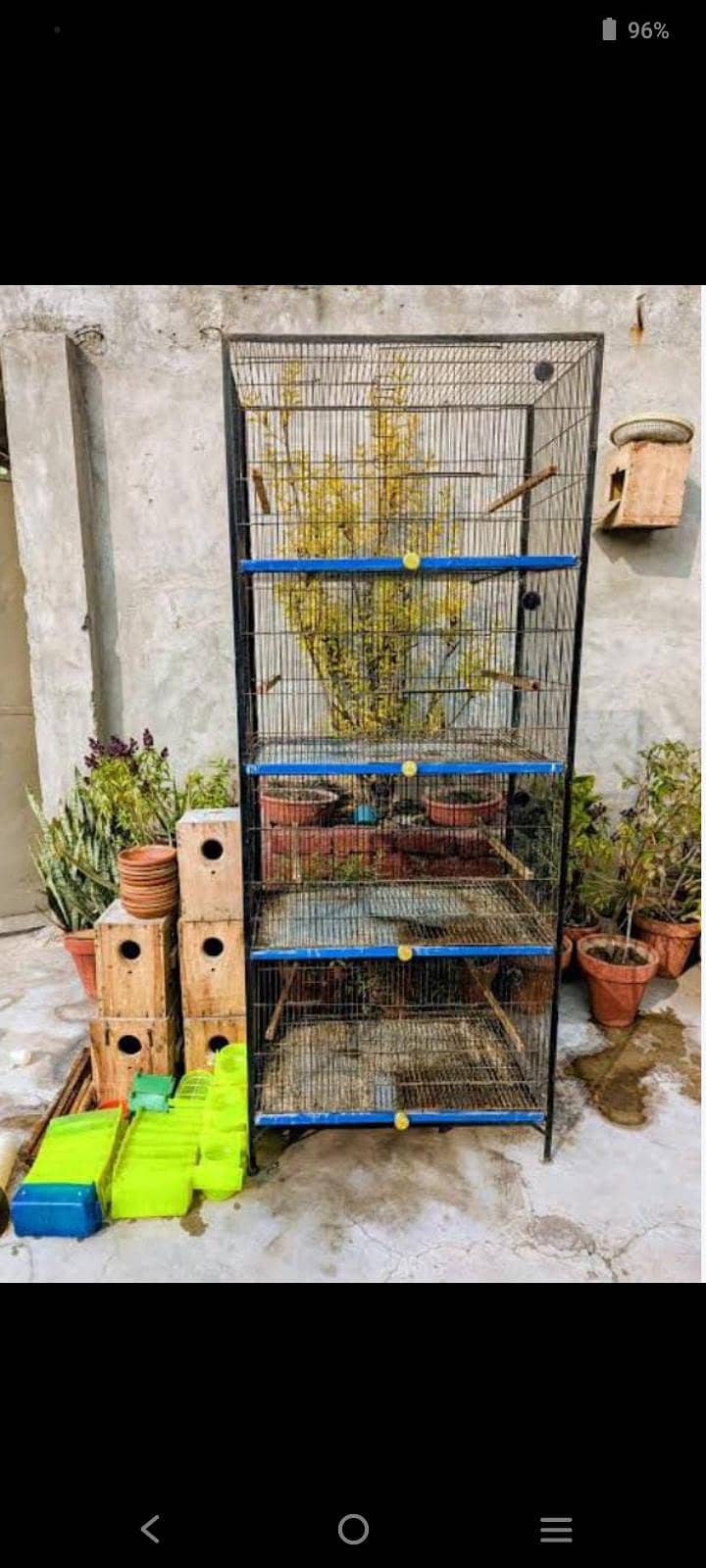 LoveBird Breeding Boxes 0