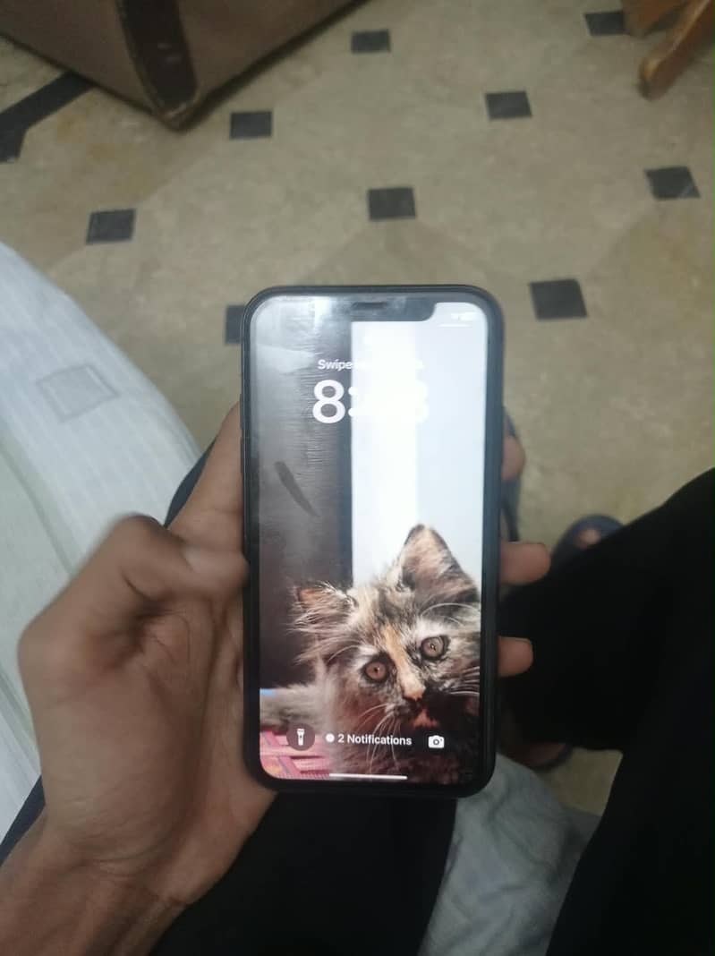 Apple iPhone 11 2