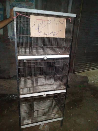 birds cage