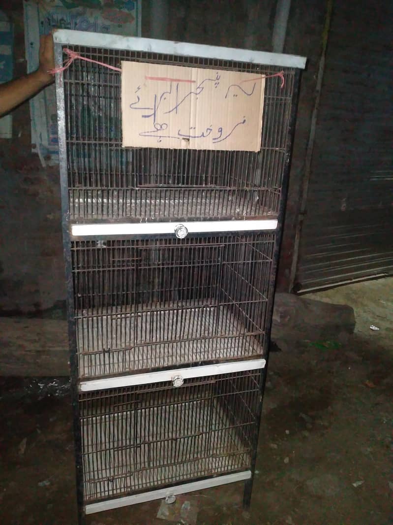 birds cage 0