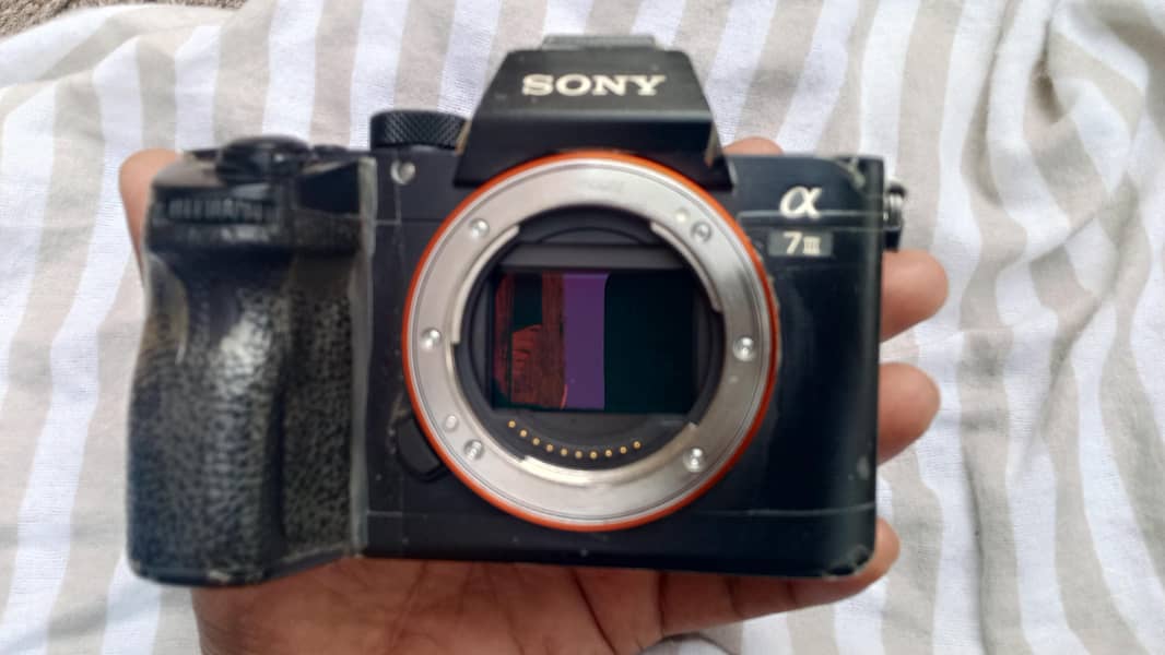 Sony a7iii mirrorless 1