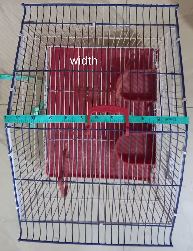 Ali Cage 0