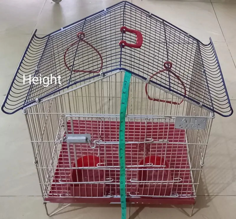 Ali Cage — photo 2