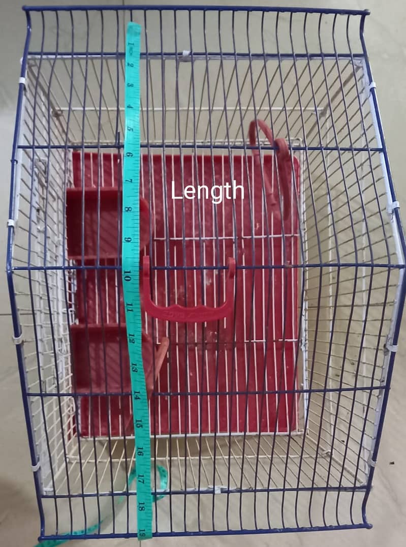 Ali Cage 2