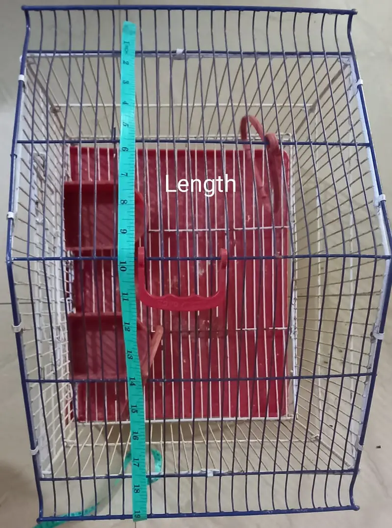 Ali Cage — photo 3