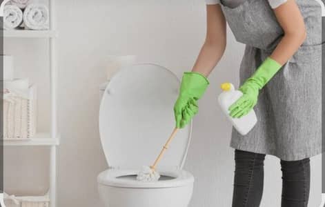 Cleaner job