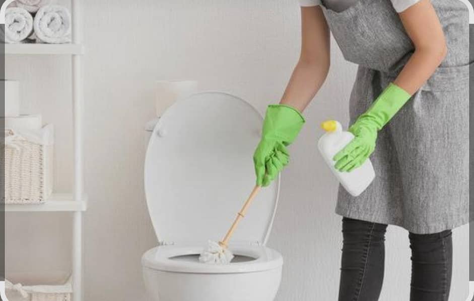 Cleaner job 0
