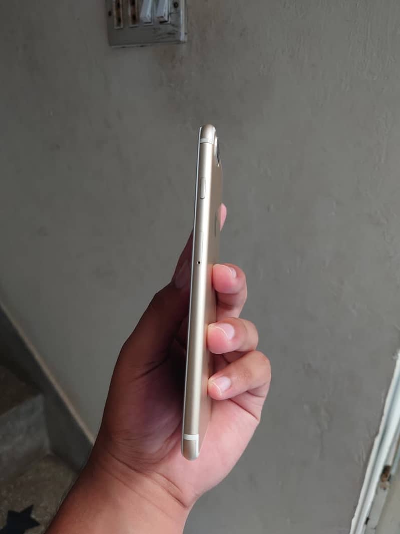 Apple iPhone 7 Plus 3