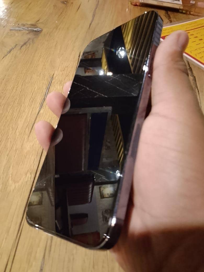 Apple iPhone 13 Pro Max 3