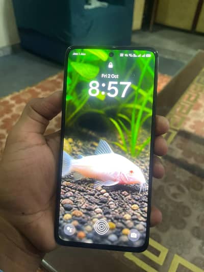 OPPO Reno