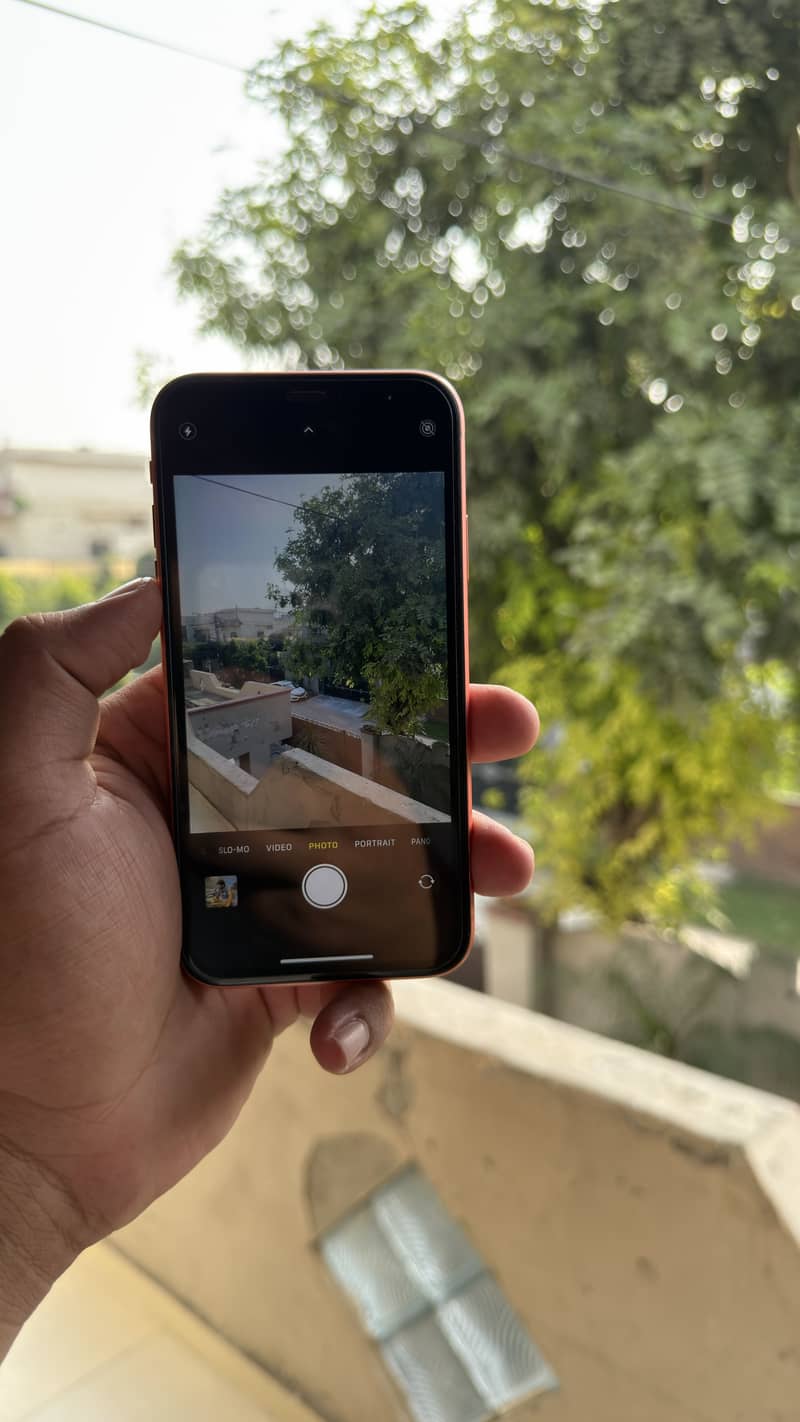 Apple iPhone XR 6