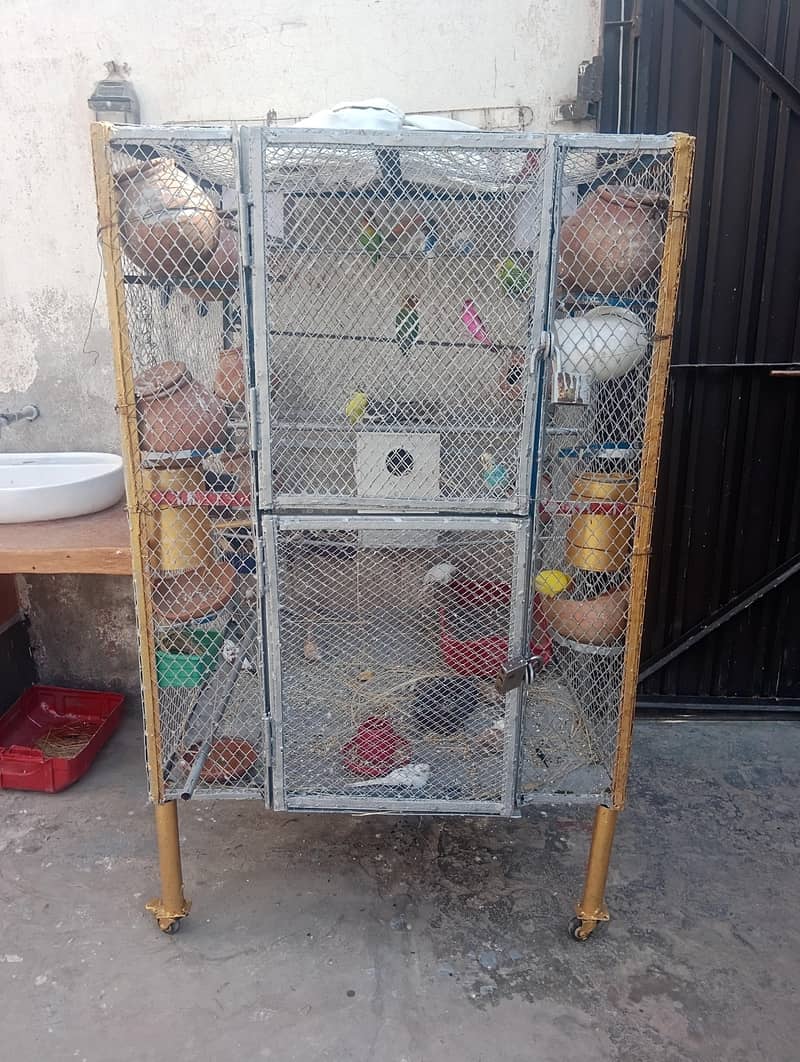 parrot double portion cage 0