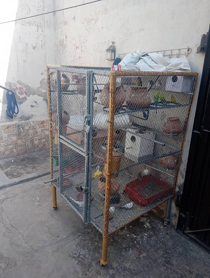 parrot double portion cage 1