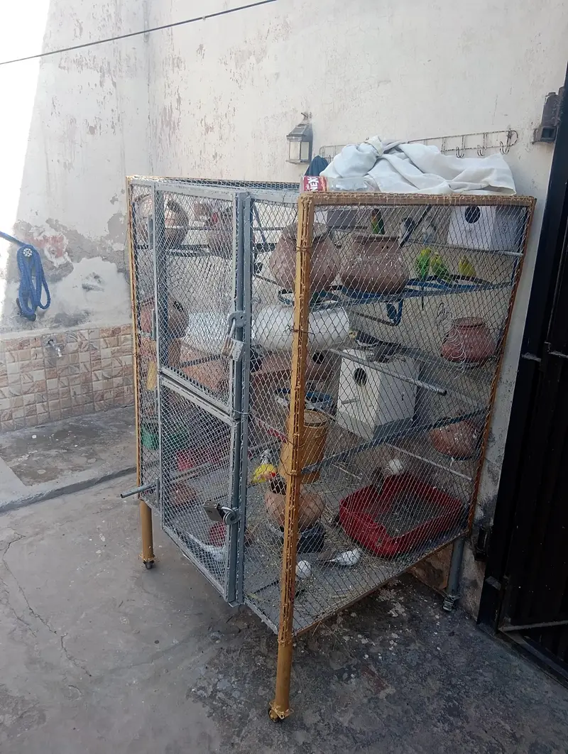 parrot double portion cage — photo 2