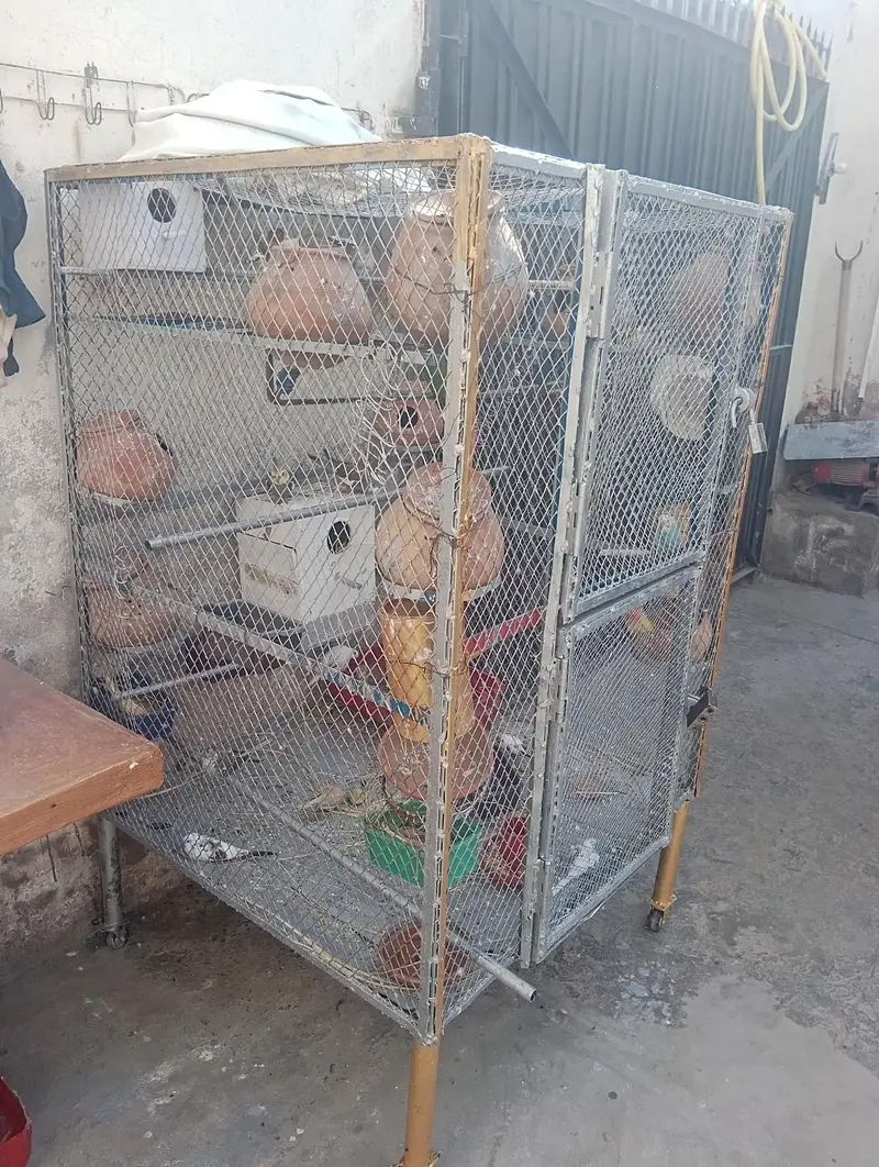 parrot double portion cage — photo 3