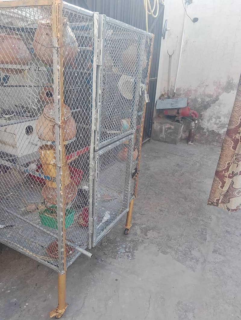 parrot double portion cage 3