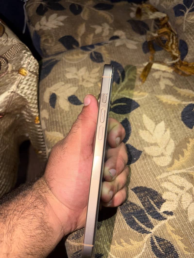 Apple iPhone 16 Pro Max 1