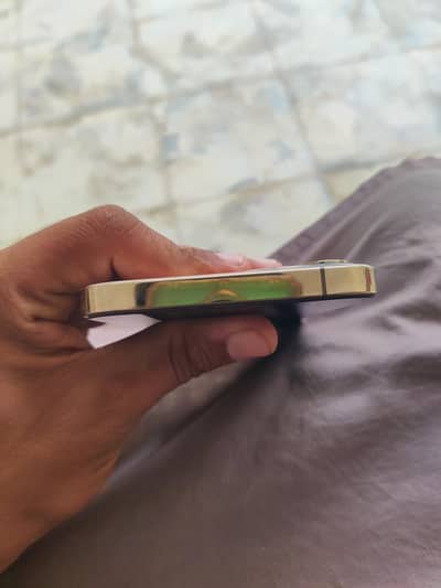 Apple iPhone 12 Pro Max factory unlocked