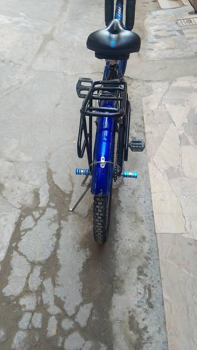 Hunter Bicycle