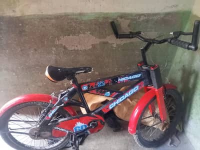 20 Inch Cycle