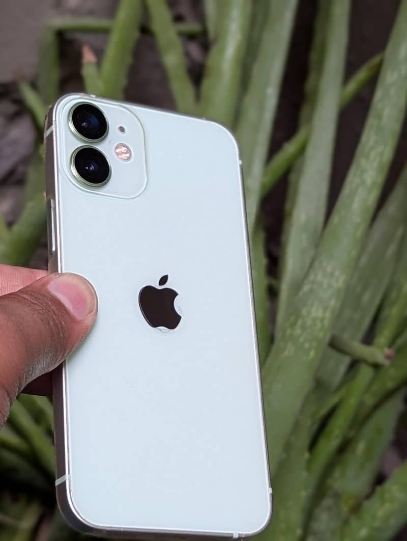 Apple iPhone 12 1