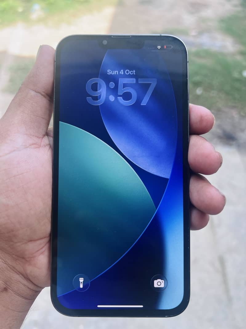 Apple iPhone 13 Pro Max 1