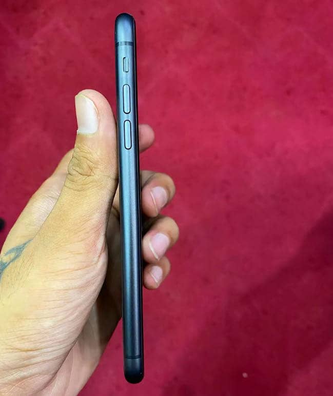 Apple iPhone 11 0