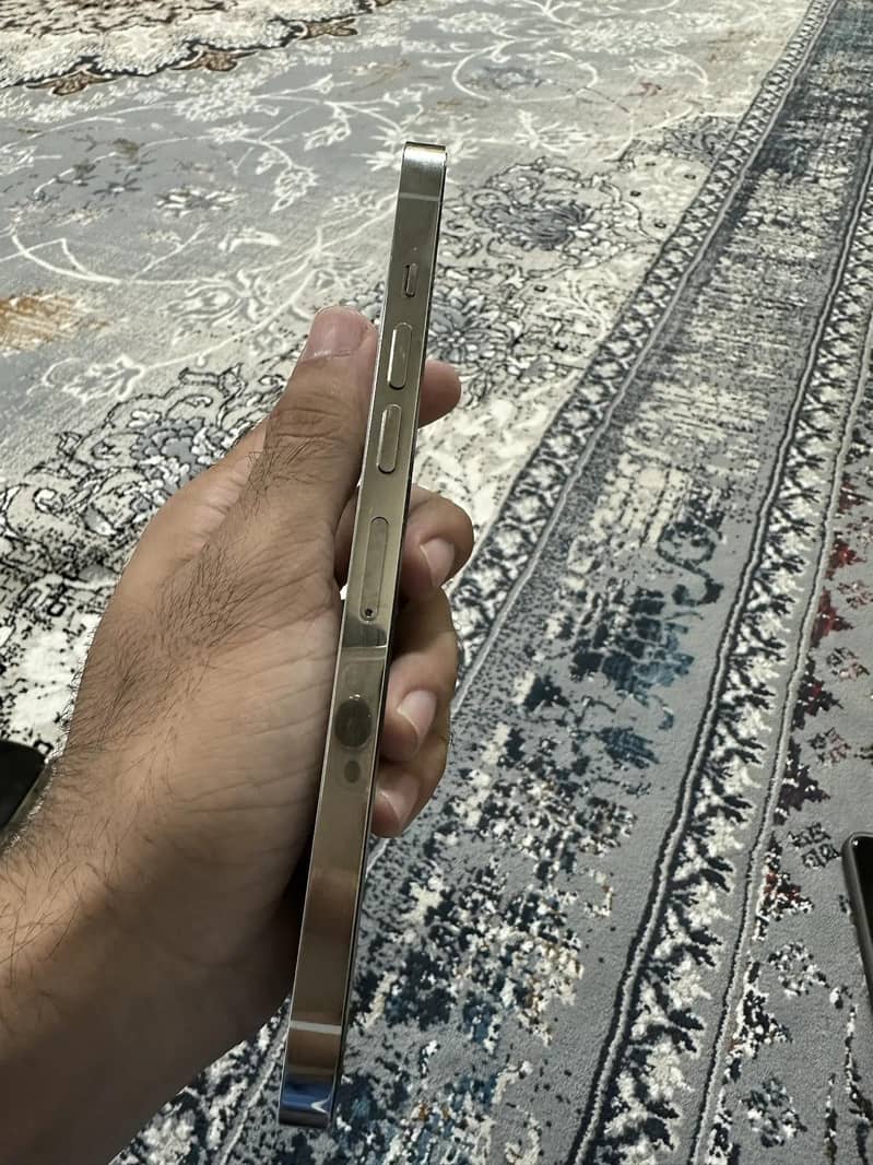 Apple iPhone 13 Pro Max 1