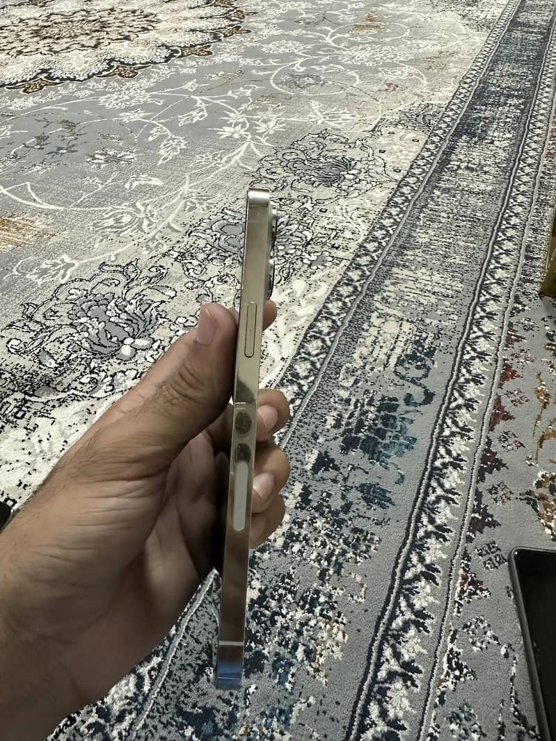 Apple iPhone 13 Pro Max 2