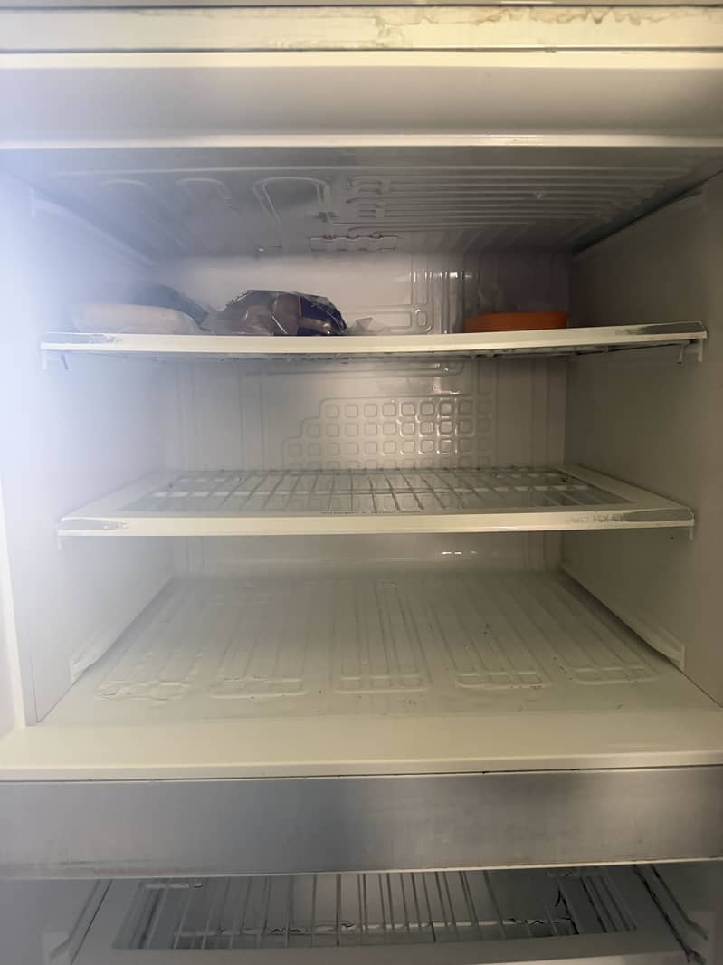 Frige 1