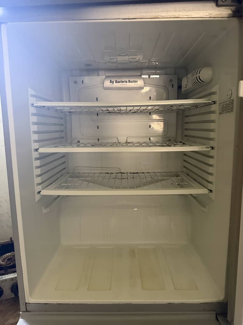 Frige 2