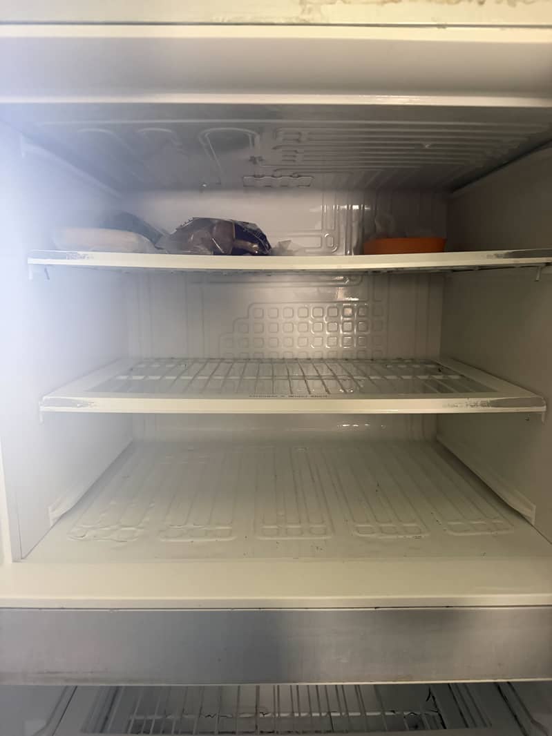 Frige 4