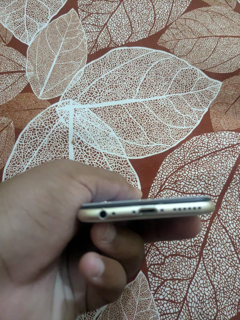 Apple iPhone 6 5