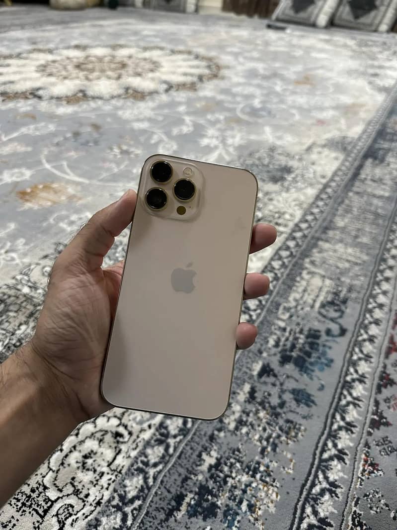 Apple iPhone 13 Pro Max 0