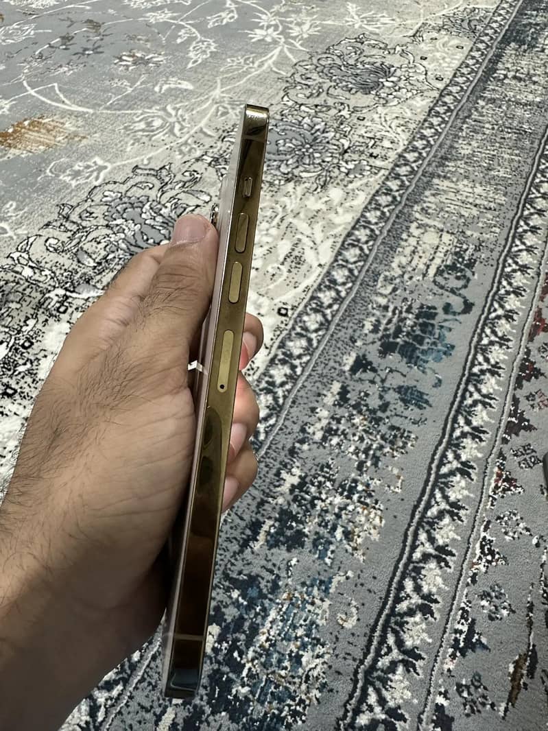 Apple iPhone 13 Pro Max 3
