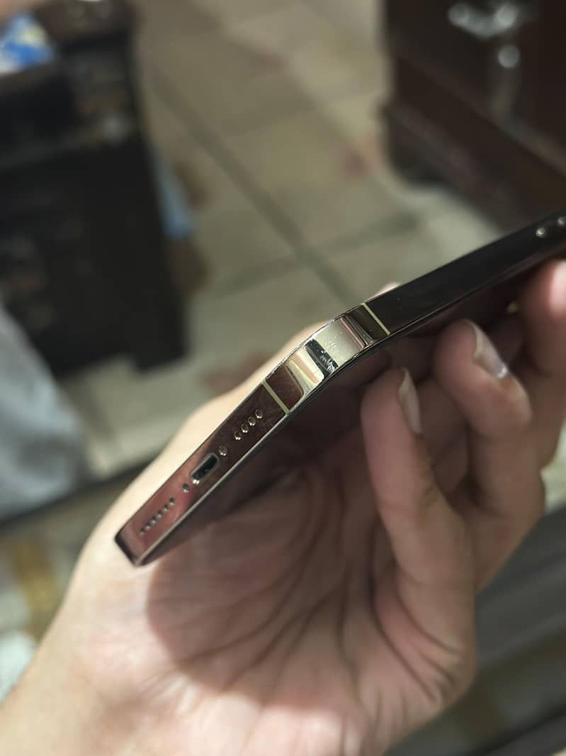 Apple iPhone 14 Pro Max 1