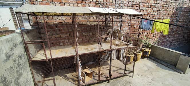 cage for sale